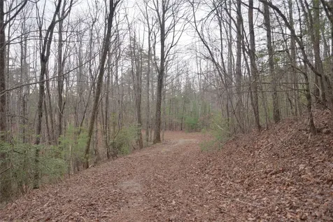 Off Neely Road And Usfs Road Highlands NC 28741