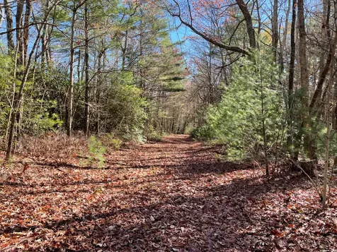 Off Neely Road And Usfs Road Highlands NC 28741