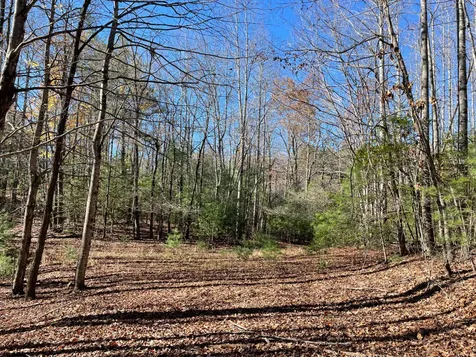 Off Neely Road And Usfs Road Highlands NC 28741