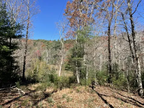 Off Neely Highlands NC 28741