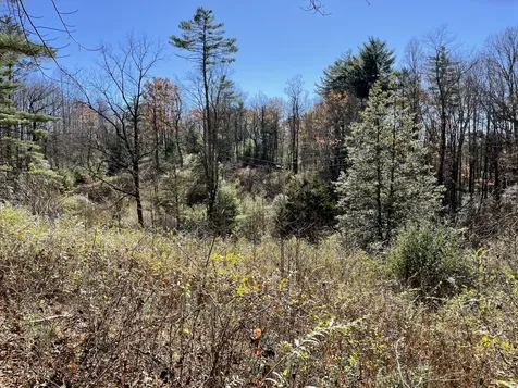 Off Neely Highlands NC 28741