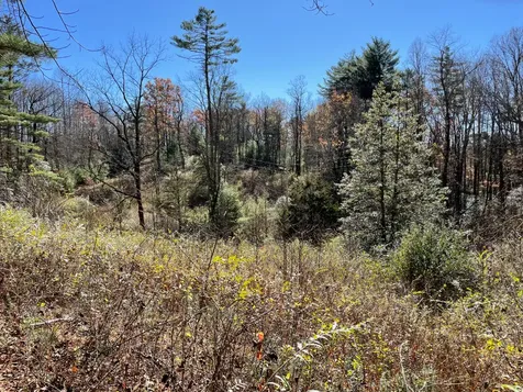 Off Neely Road And Usfs Road Highlands NC 28741