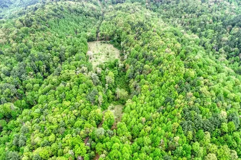 Off Neely Highlands NC 28741