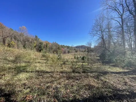 Off Neely Highlands NC 28741