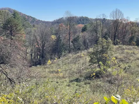 Off Neely Highlands NC 28741