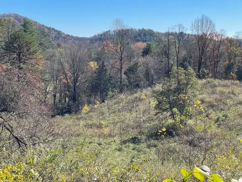 Off Neely Road And Usfs Road Highlands NC 28741