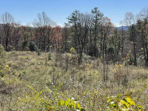 Off Neely Highlands NC 28741