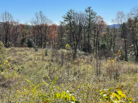 Off Neely Road And Usfs Road Highlands NC 28741