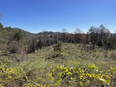 Off Neely Highlands NC 28741