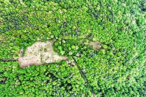 Off Neely Road And Usfs Road Highlands NC 28741