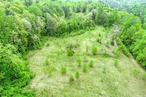 Off Neely Highlands NC 28741
