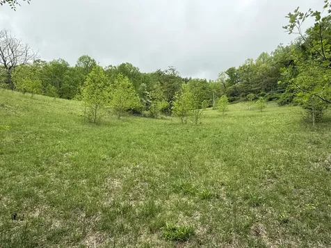 Off Neely Highlands NC 28741