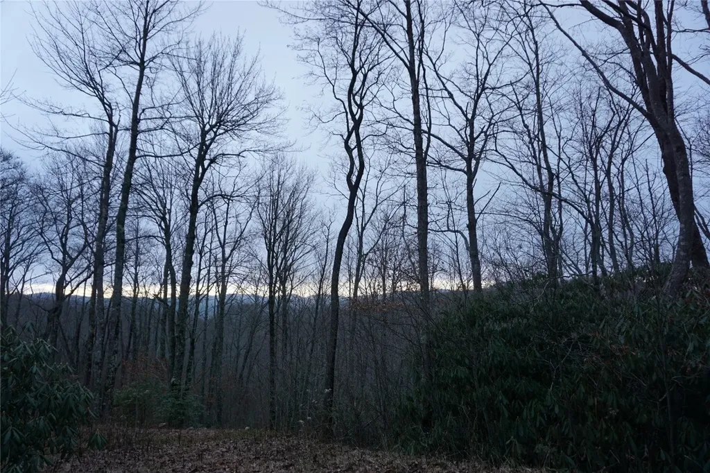 0 Tanner Loop Highlands NC 28741