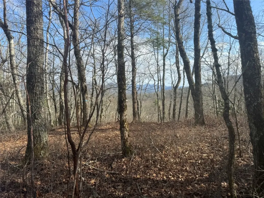 86 Squires Point Highlands NC 28741