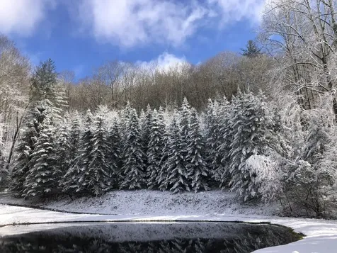 71 Peek And Peak Lane Scaly Mountain NC 28775