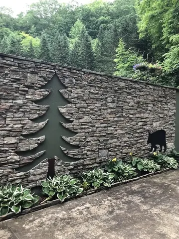 71 Peek And Peak Lane Scaly Mountain NC 28775