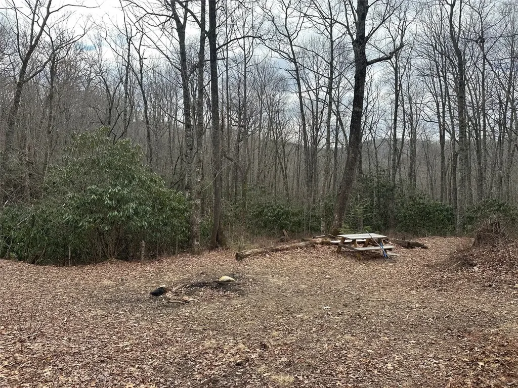 322 Leafy Knoll Circle Glenville NC 28736