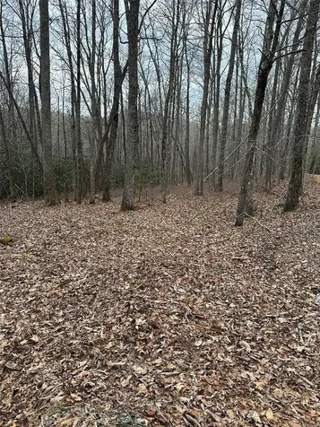 322 Leafy Knoll Circle Glenville NC 28736