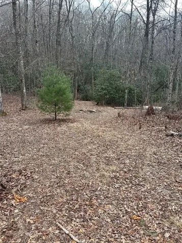 322 Leafy Knoll Circle Glenville NC 28736