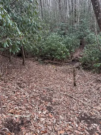 322 Leafy Knoll Circle Glenville NC 28736