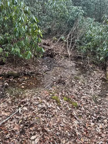 322 Leafy Knoll Circle Glenville NC 28736