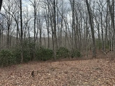 322 Leafy Knoll Circle Glenville NC 28736