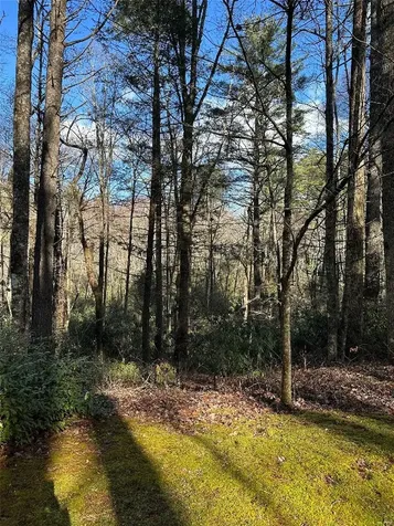 Lot 7 Gorge Trail Cashiers NC 28717