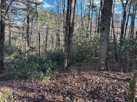 Lot 7 Gorge Trail Cashiers NC 28717
