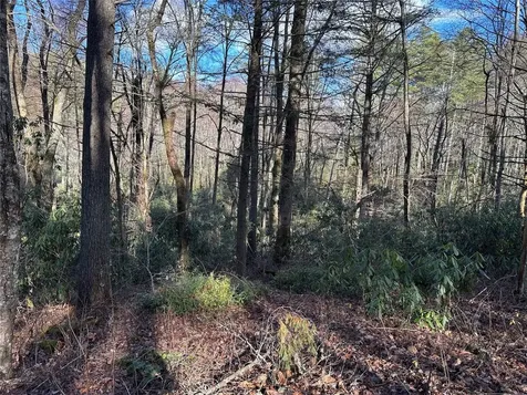 Lot 7 Gorge Trail Cashiers NC 28717