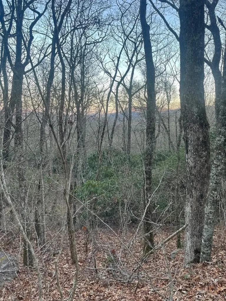00 Zeb Buchanan Road Cullowhee NC 28723