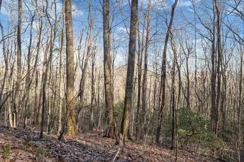 00 Zeb Buchanan Road Cullowhee NC 28723