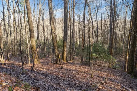 00 Zeb Buchanan Road Cullowhee NC 28723