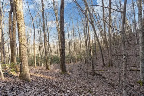 00 Zeb Buchanan Road Cullowhee NC 28723