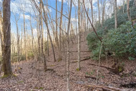 00 Zeb Buchanan Road Cullowhee NC 28723