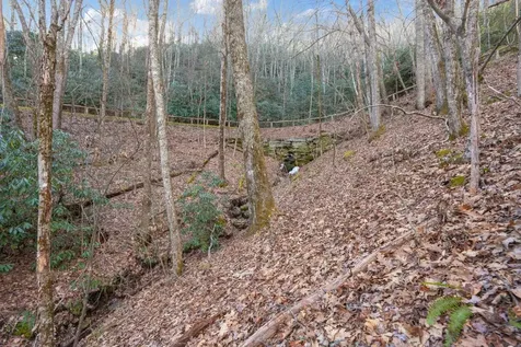 00 Zeb Buchanan Road Cullowhee NC 28723