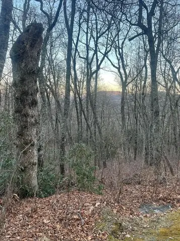 00 Zeb Buchanan Road Cullowhee NC 28723