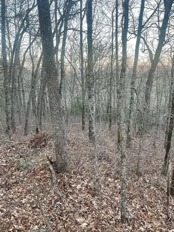 00 Zeb Buchanan Road Cullowhee NC 28723