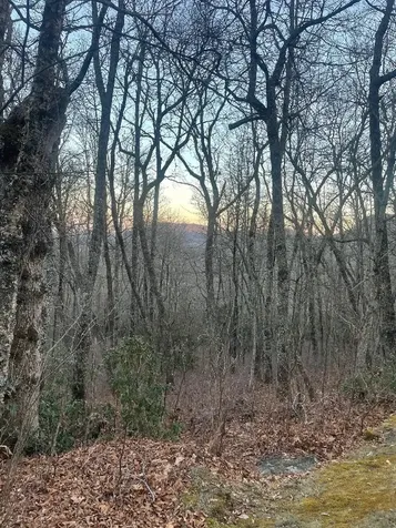 00 Zeb Buchanan Road Cullowhee NC 28723