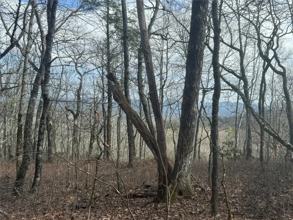 85 Squires Point Highlands NC 28741