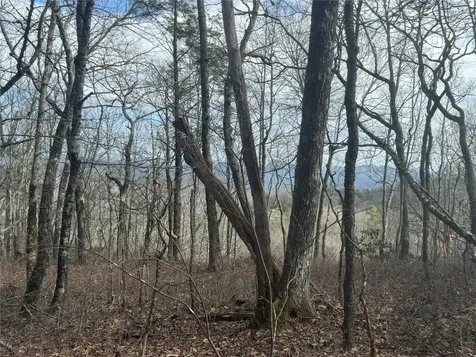 85 Eagle Crest Trail Highlands NC 28741