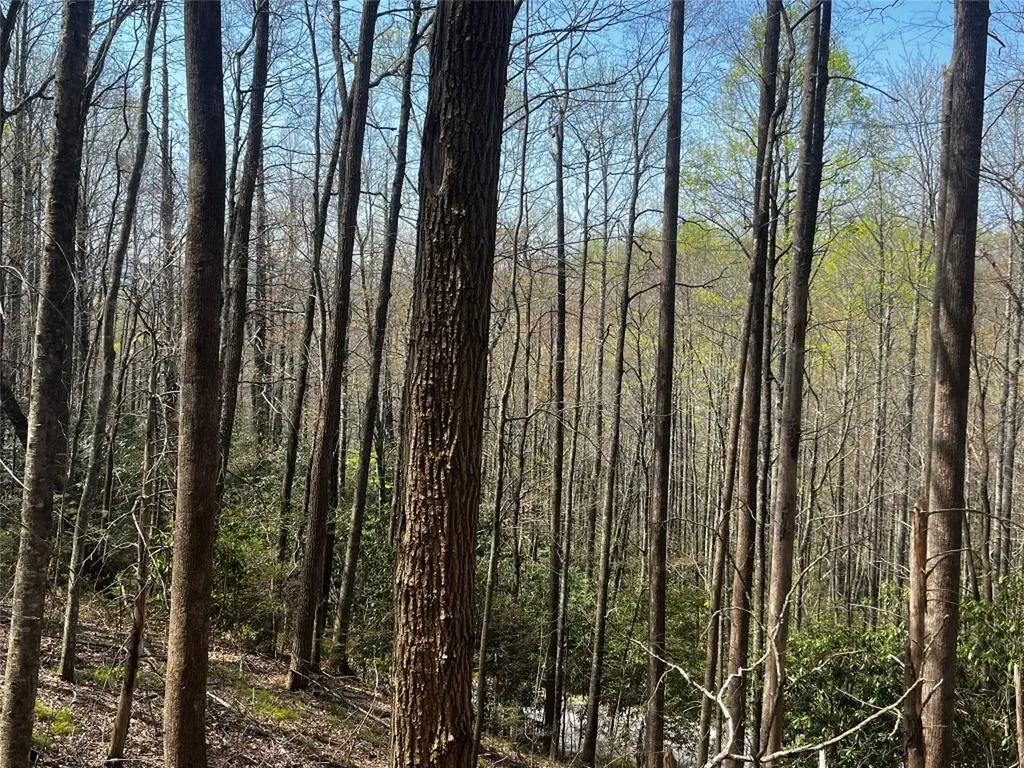 94 Black Oak Drive Sapphire NC 28774