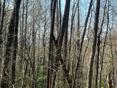 94 Black Oak Drive Sapphire NC 28774