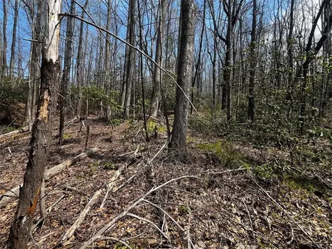 94 Black Oak Drive Sapphire NC 28774