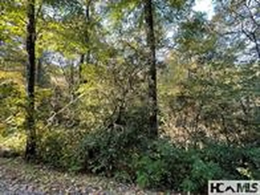 Lot 95 Fishing Village Lane Cullowhee NC 28723