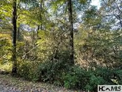 Lot 95 Fishing Village Lane Cullowhee NC 28723