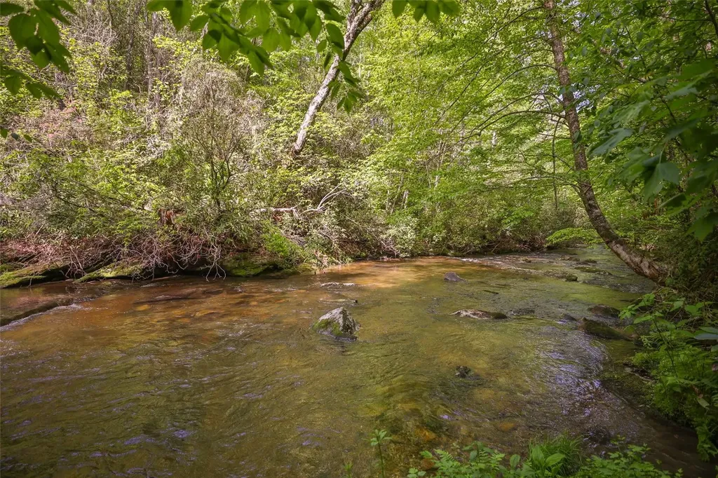 G110 Trimble Ridge Glenville NC 28736