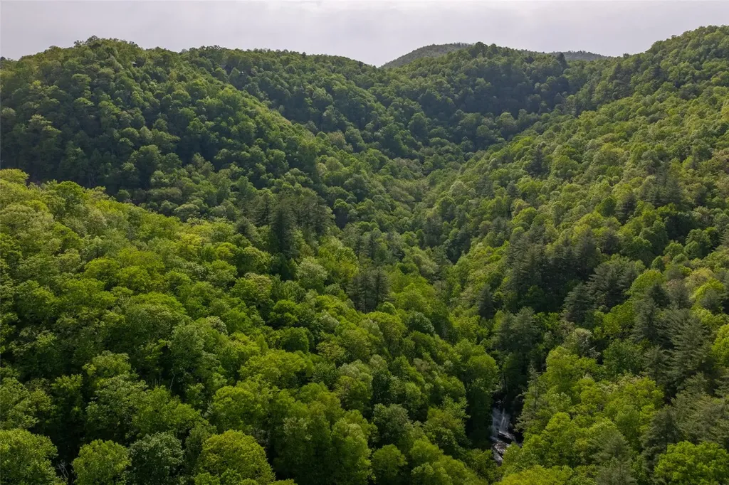 G110 Trimble Ridge Glenville NC 28736