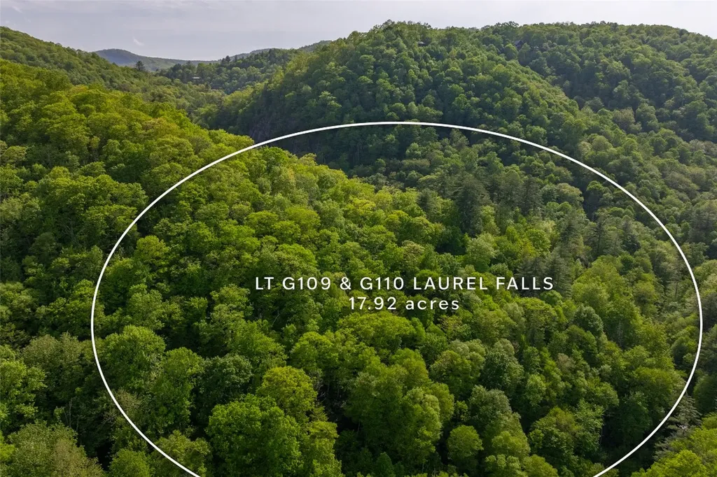 G110 Trimble Ridge Glenville NC 28736