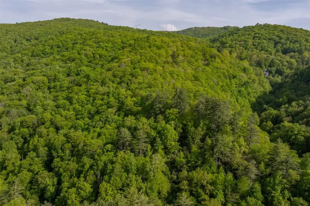 G110 Trimble Ridge Glenville NC 28736