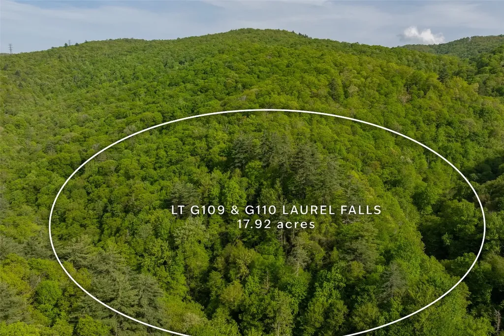 G110 Trimble Ridge Glenville NC 28736